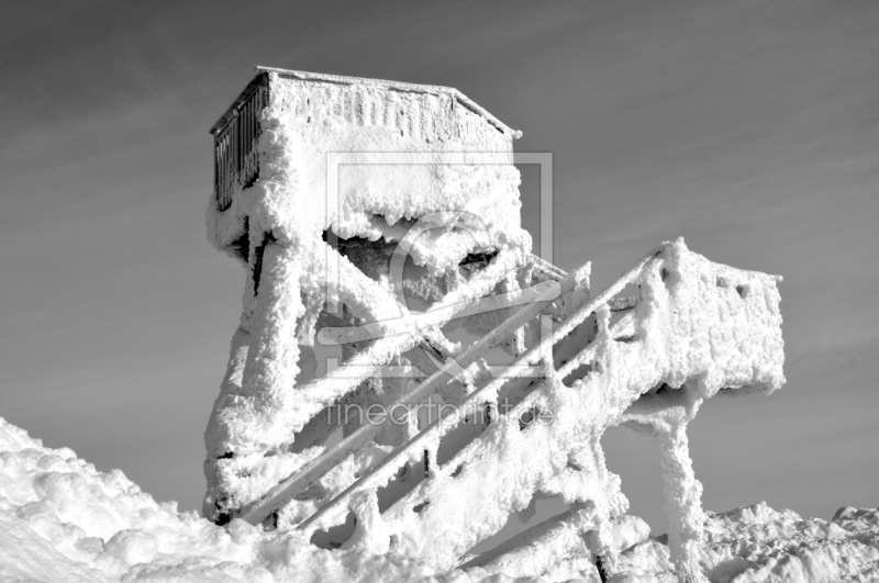 frei wählbarer Bildausschnitt für Ihr Bild auf Glas-Schneidebrett