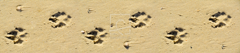 frei wählbarer Bildausschnitt für Ihr Bild auf Glas-Schneidebrett