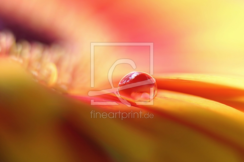 frei wählbarer Bildausschnitt für Ihr Bild auf Glas-Schneidebrett