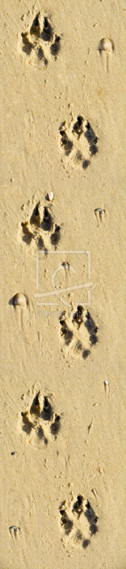 frei wählbarer Bildausschnitt für Ihr Bild auf Glas-Schneidebrett