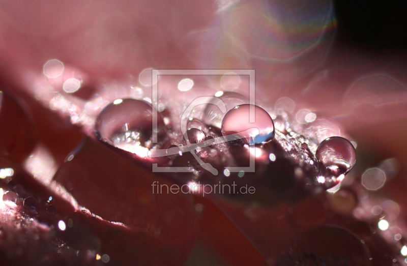 frei wählbarer Bildausschnitt für Ihr Bild auf Glas-Schneidebrett