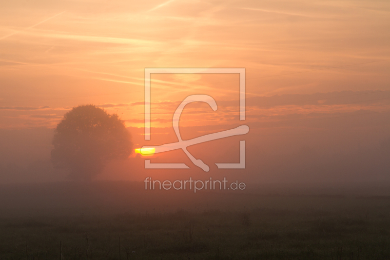 frei w&auml;hlbarer Bildausschnitt f&uuml;r Ihr Bild auf Glas-Schneidebrett