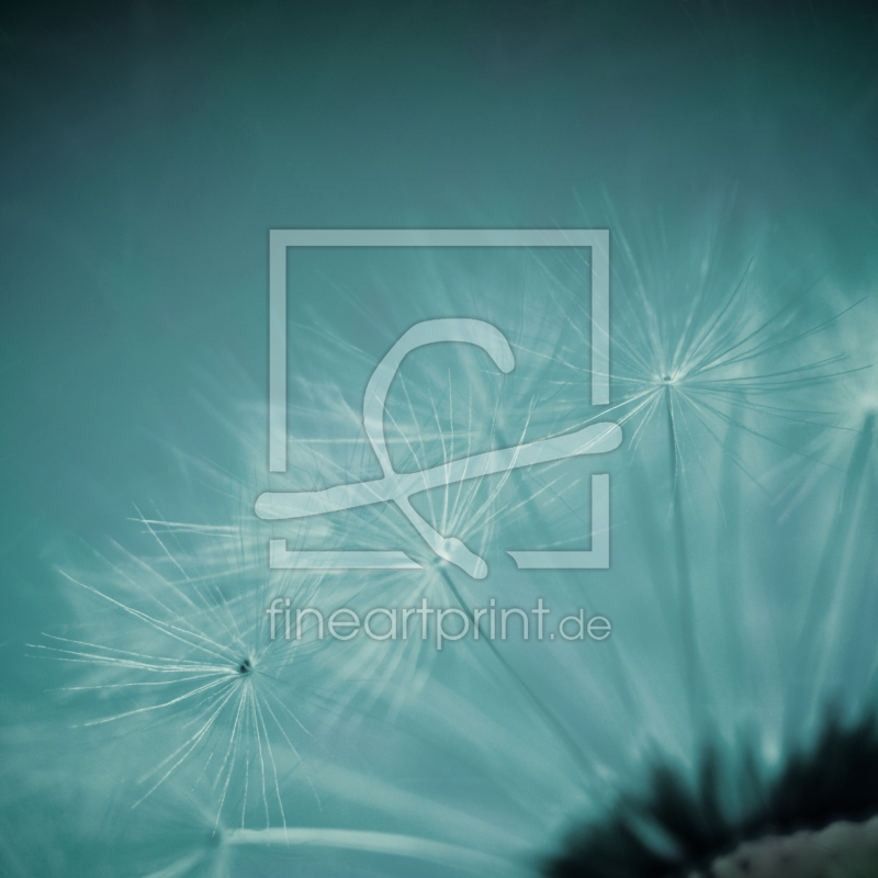 frei w&auml;hlbarer Bildausschnitt f&uuml;r Ihr Bild auf Glas-Schneidebrett