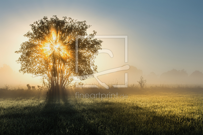 frei w&auml;hlbarer Bildausschnitt f&uuml;r Ihr Bild auf Glas-Schneidebrett