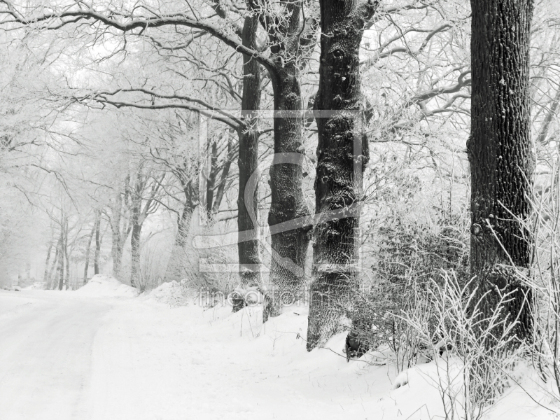 frei wählbarer Bildausschnitt für Ihr Bild auf Glas-Schneidebrett