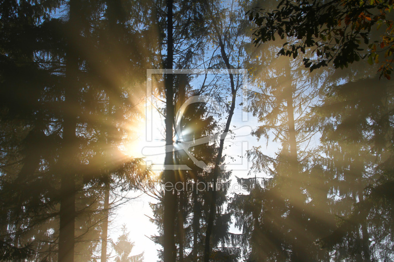 frei wählbarer Bildausschnitt für Ihr Bild auf Glas-Schneidebrett