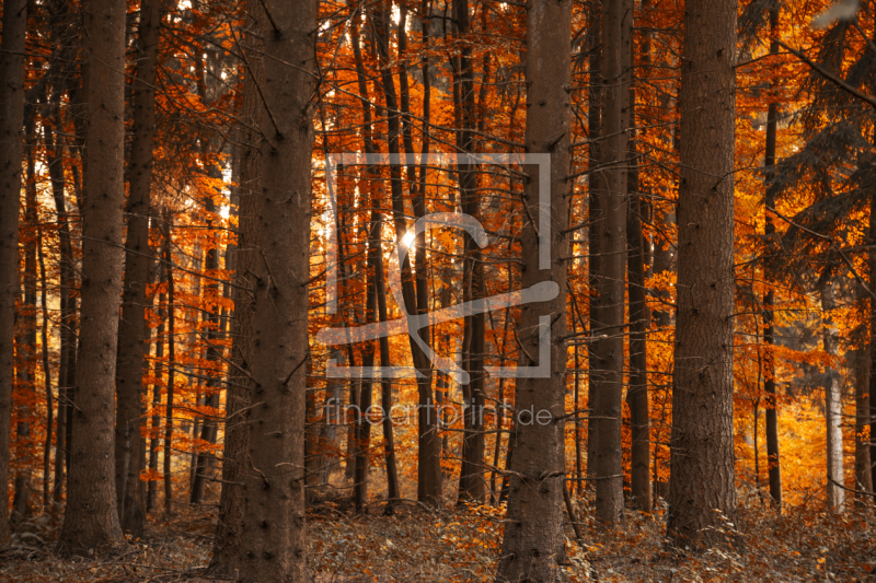 frei w&auml;hlbarer Bildausschnitt f&uuml;r Ihr Bild auf Glas-Schneidebrett