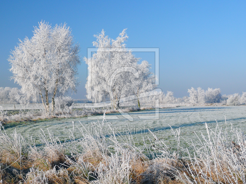 frei wählbarer Bildausschnitt für Ihr Bild auf Glas-Schneidebrett