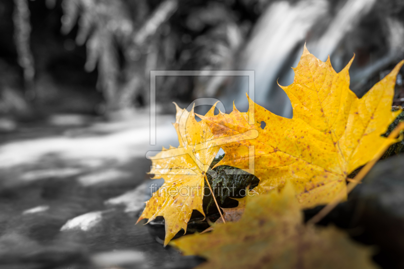 frei wählbarer Bildausschnitt für Ihr Bild auf Glas-Schneidebrett