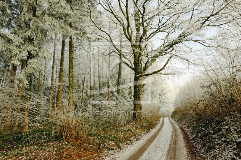 frei wählbarer Bildausschnitt für Ihr Bild auf Glas-Schneidebrett