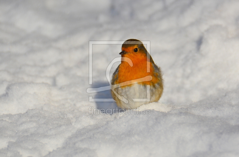 frei wählbarer Bildausschnitt für Ihr Bild auf Glas-Schneidebrett