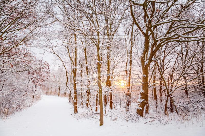 frei wählbarer Bildausschnitt für Ihr Bild auf Glas-Schneidebrett