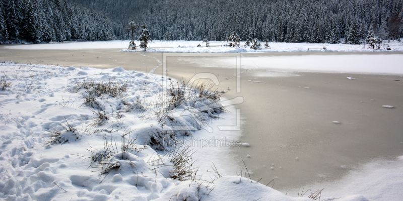 frei wählbarer Bildausschnitt für Ihr Bild auf Glas-Schneidebrett