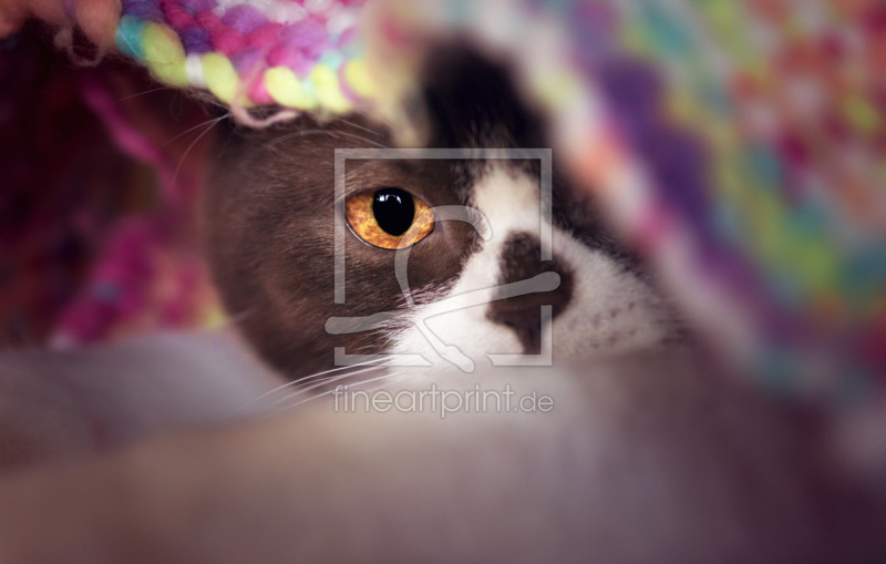 frei w&auml;hlbarer Bildausschnitt f&uuml;r Ihr Bild auf Glas-Schneidebrett