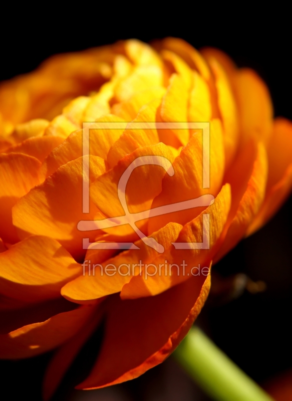 frei wählbarer Bildausschnitt für Ihr Bild auf Glas-Schneidebrett