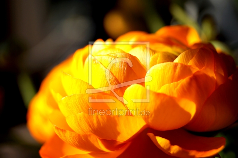 frei w&auml;hlbarer Bildausschnitt f&uuml;r Ihr Bild auf Glas-Schneidebrett