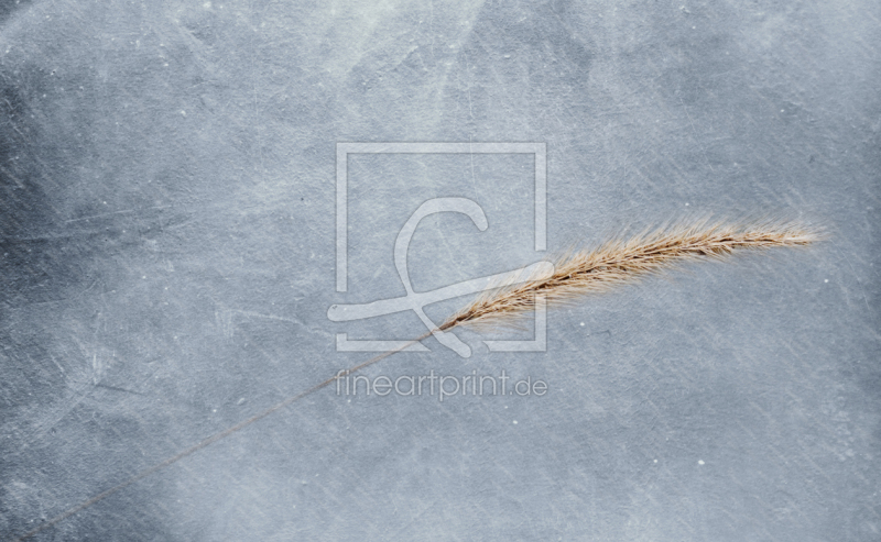 frei w&auml;hlbarer Bildausschnitt f&uuml;r Ihr Bild auf Glas-Schneidebrett