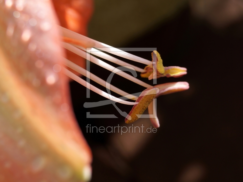 frei wählbarer Bildausschnitt für Ihr Bild auf Glas-Schneidebrett