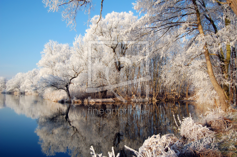 frei wählbarer Bildausschnitt für Ihr Bild auf Glas-Schneidebrett