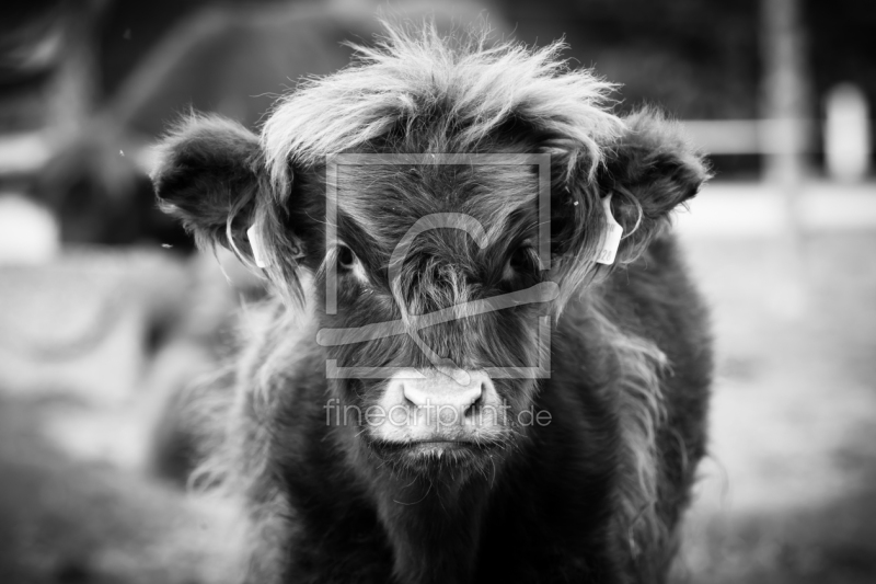 frei w&auml;hlbarer Bildausschnitt f&uuml;r Ihr Bild auf Glas-Schneidebrett