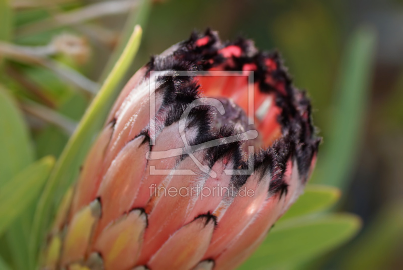 frei w&auml;hlbarer Bildausschnitt f&uuml;r Ihr Bild auf Glas-Schneidebrett