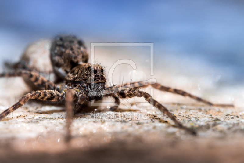 frei wählbarer Bildausschnitt für Ihr Bild auf Glas-Schneidebrett
