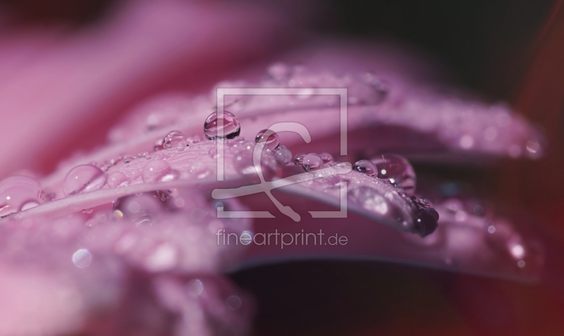 frei wählbarer Bildausschnitt für Ihr Bild auf Glas-Schneidebrett