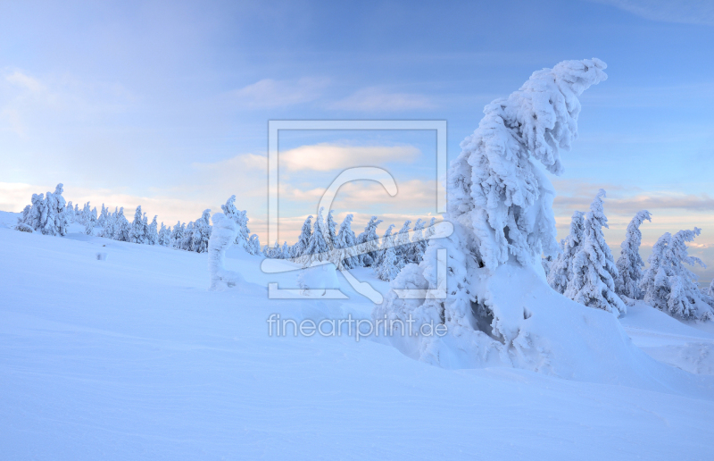 frei wählbarer Bildausschnitt für Ihr Bild auf Glas-Schneidebrett