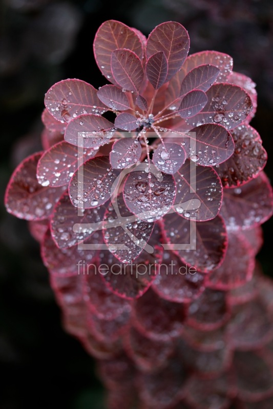 frei w&auml;hlbarer Bildausschnitt f&uuml;r Ihr Bild auf Glas-Schneidebrett