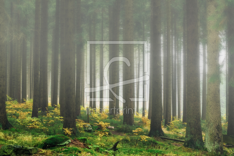 frei wählbarer Bildausschnitt für Ihr Bild auf Glas-Schneidebrett