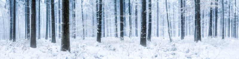 frei wählbarer Bildausschnitt für Ihr Bild auf Glas-Schneidebrett