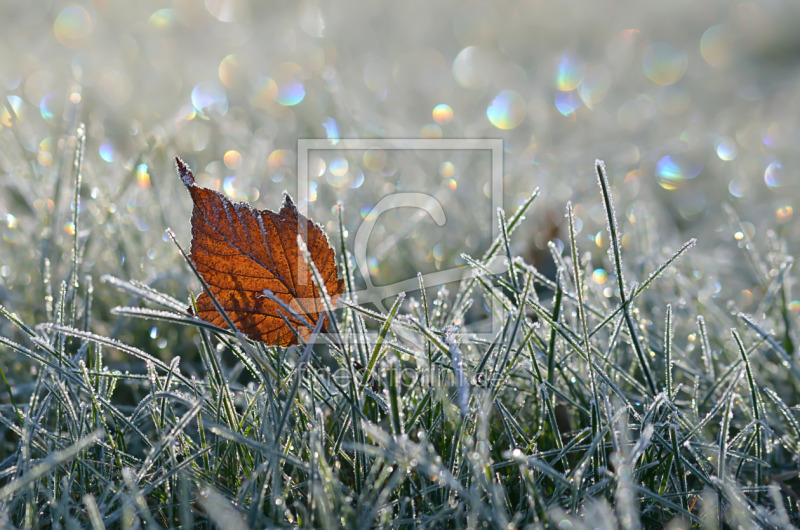 frei wählbarer Bildausschnitt für Ihr Bild auf Glas-Schneidebrett