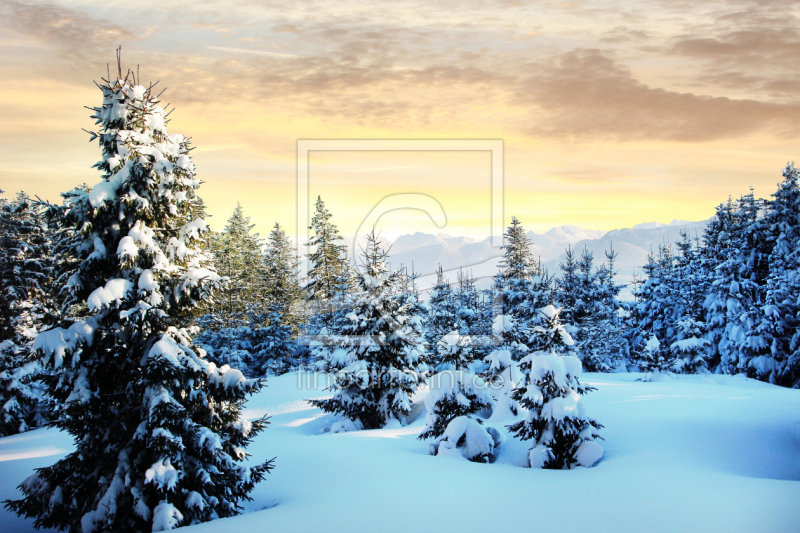 frei wählbarer Bildausschnitt für Ihr Bild auf Glas-Schneidebrett