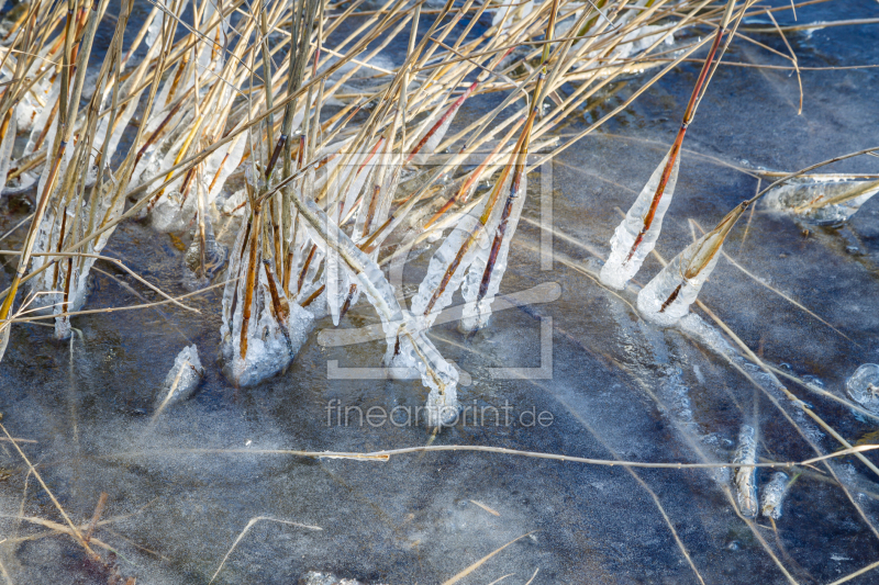 frei wählbarer Bildausschnitt für Ihr Bild auf Glas-Schneidebrett