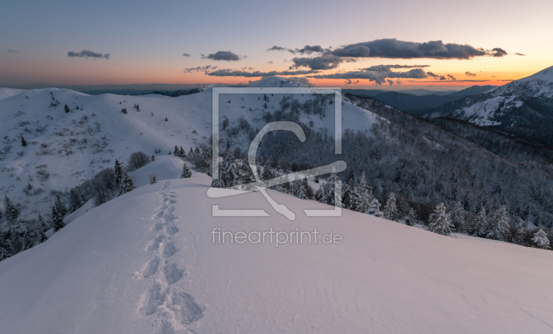 frei wählbarer Bildausschnitt für Ihr Bild auf Glas-Schneidebrett
