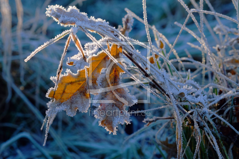 frei wählbarer Bildausschnitt für Ihr Bild auf Glas-Schneidebrett