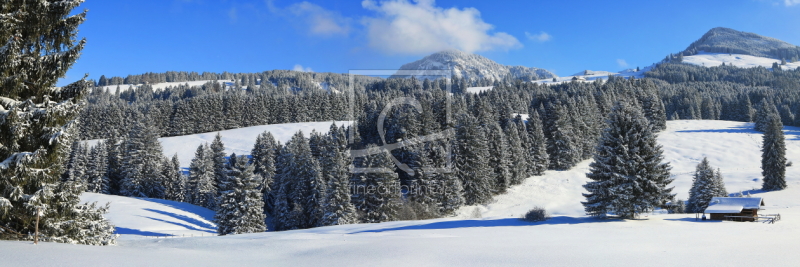 frei wählbarer Bildausschnitt für Ihr Bild auf Glas-Schneidebrett