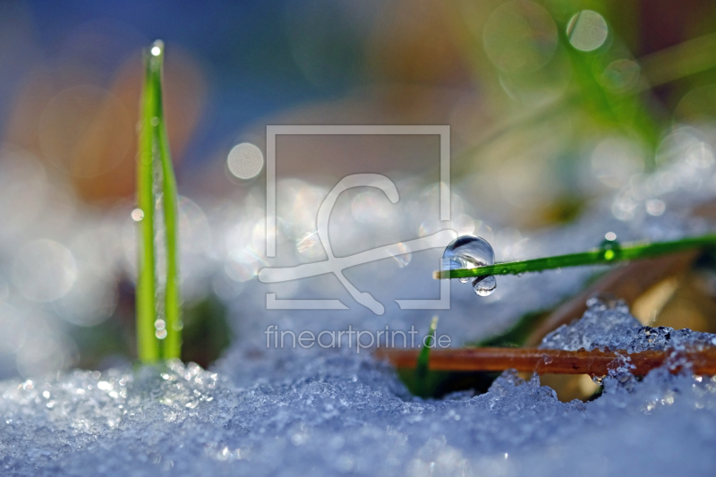 frei wählbarer Bildausschnitt für Ihr Bild auf Glas-Schneidebrett