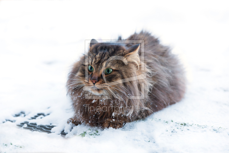 frei wählbarer Bildausschnitt für Ihr Bild auf Glas-Schneidebrett