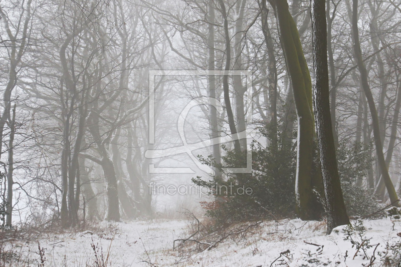 frei wählbarer Bildausschnitt für Ihr Bild auf Glas-Schneidebrett