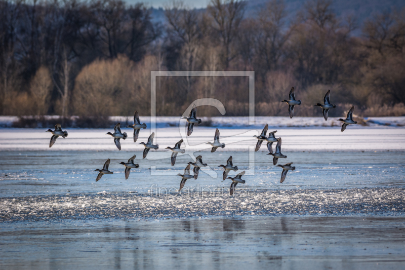 frei wählbarer Bildausschnitt für Ihr Bild auf Glas-Schneidebrett