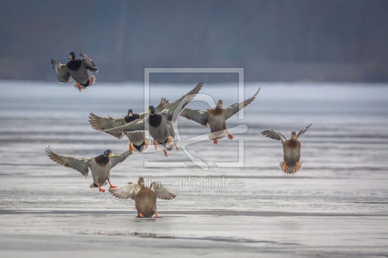 frei w&auml;hlbarer Bildausschnitt f&uuml;r Ihr Bild auf Glas-Schneidebrett