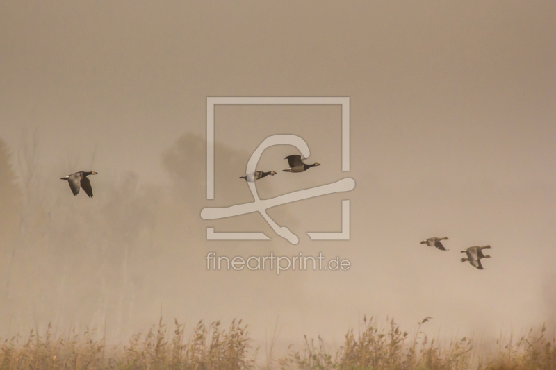 frei w&auml;hlbarer Bildausschnitt f&uuml;r Ihr Bild auf Glas-Schneidebrett