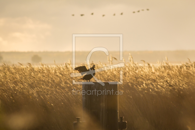 frei wählbarer Bildausschnitt für Ihr Bild auf Glas-Schneidebrett