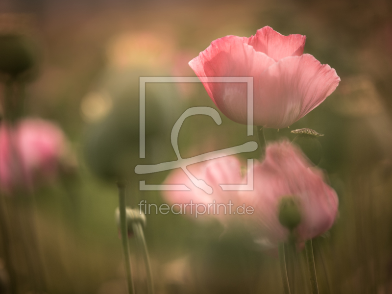 frei w&auml;hlbarer Bildausschnitt f&uuml;r Ihr Bild auf Glas-Schneidebrett