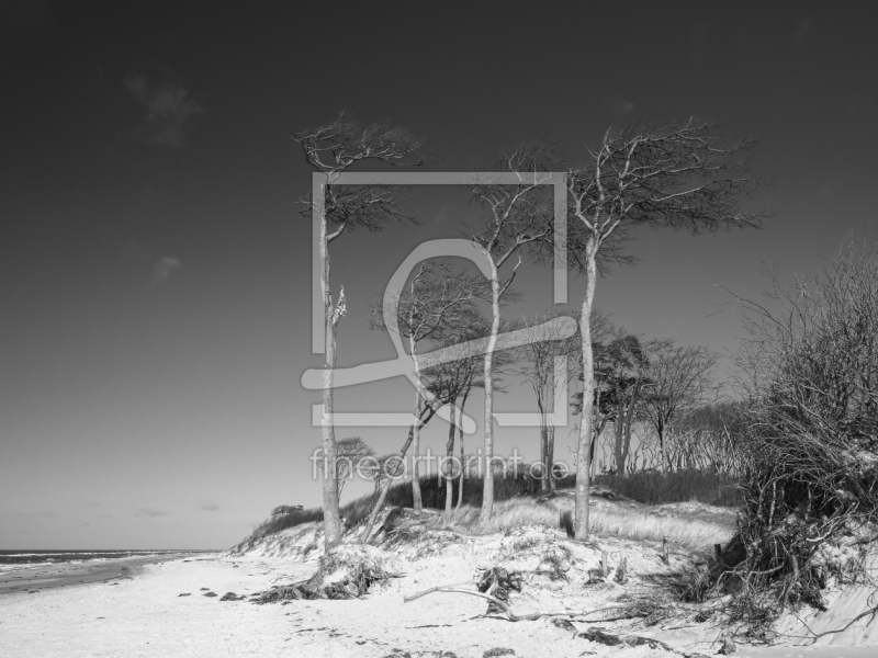 frei w&auml;hlbarer Bildausschnitt f&uuml;r Ihr Bild auf Glas-Schneidebrett