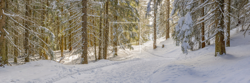 frei wählbarer Bildausschnitt für Ihr Bild auf Glas-Schneidebrett