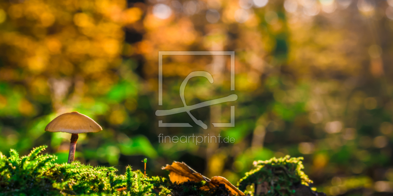 frei w&auml;hlbarer Bildausschnitt f&uuml;r Ihr Bild auf Glas-Schneidebrett