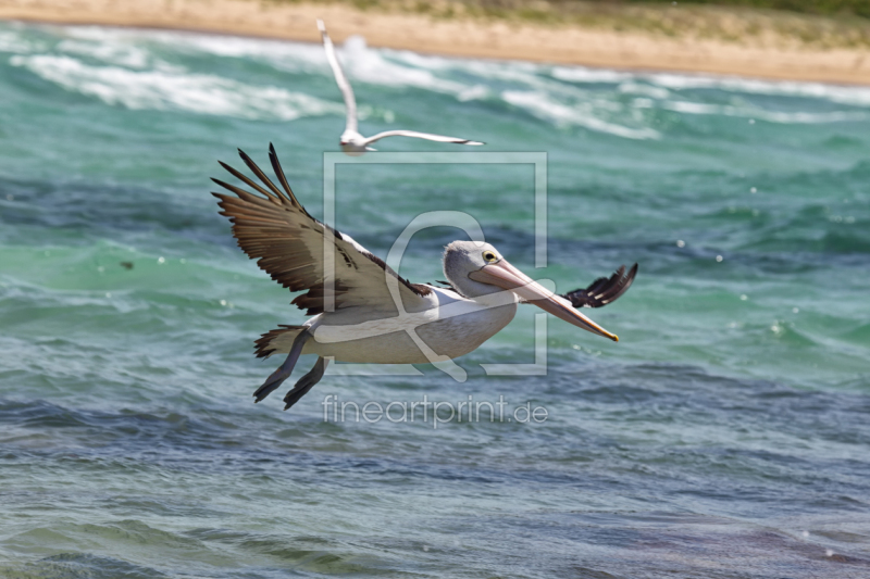 frei wählbarer Bildausschnitt für Ihr Bild auf Glas-Schneidebrett