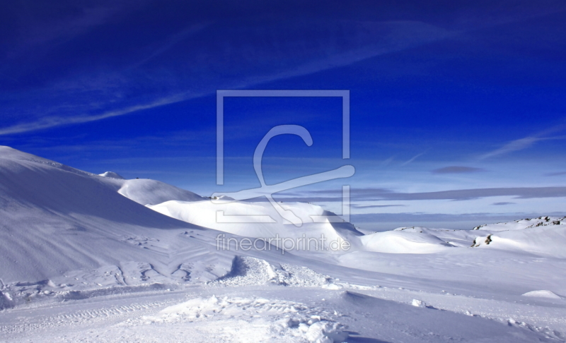 frei wählbarer Bildausschnitt für Ihr Bild auf Glas-Schneidebrett